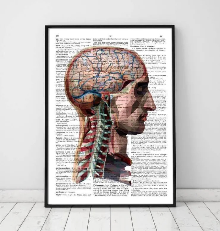 Geometrischer Kopf und Gehirn - Wörterbuch | Codex Anatomicus Outlet