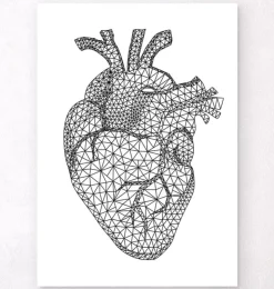 Geometrisches Herz | Codex Anatomicus Hot
