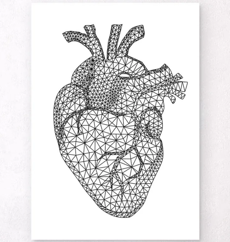 Geometrisches Herz | Codex Anatomicus Hot
