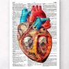 Geometrisches Herz - Wörterbuch | Codex Anatomicus Fashion