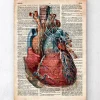 Geometrisches Herz II - Altes Wörterbuch | Codex Anatomicus Hot
