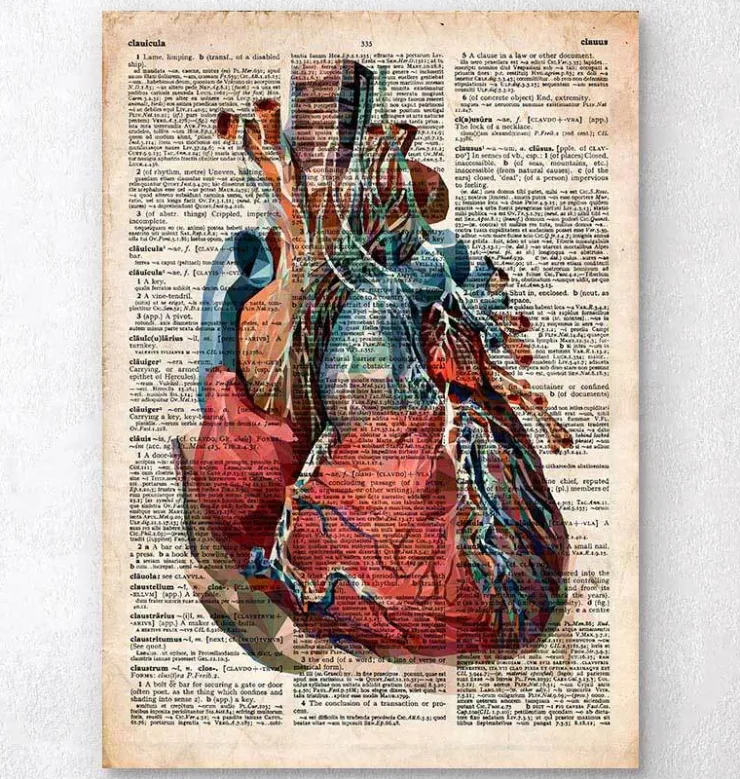 Geometrisches Herz II - Altes Wörterbuch | Codex Anatomicus Hot