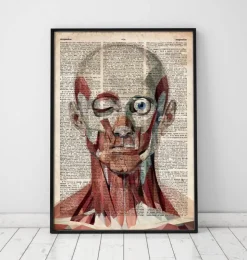 Gesichts anatomie - Altes Wörterbuch | Codex Anatomicus Sale