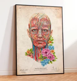 Gesichts Anatomie - Floral - Vintage | Codex Anatomicus Best