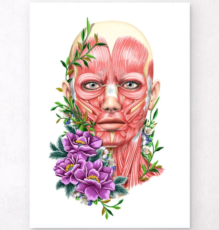 Gesichtsmuskeln Anatomie II - Floral - Weiß | Codex Anatomicus Discount