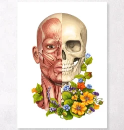 Gesichtsmuskeln Anatomie - Floral - Weiß | Codex Anatomicus Clearance