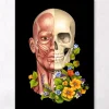 Gesichtsmuskeln Anatomie - Floral - Schwarz | Codex Anatomicus Outlet