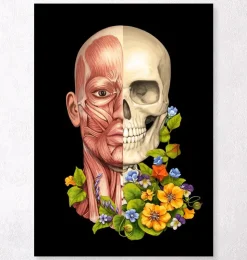 Gesichtsmuskeln Anatomie - Floral - Schwarz | Codex Anatomicus Outlet