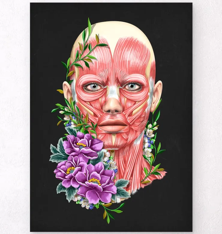 Gesichtsmuskeln Anatomie II - Floral - Schwarz | Codex Anatomicus Best