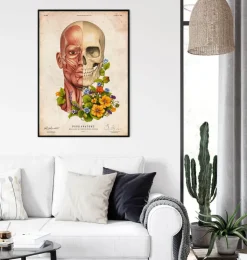 Gesichtsmuskeln Anatomie - Floral - Altes Papier | Codex Anatomicus Best