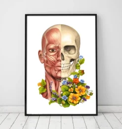 Gesichtsmuskeln Anatomie - Floral - Weiß | Codex Anatomicus Clearance