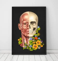 Gesichtsmuskeln Anatomie - Floral - Schwarz | Codex Anatomicus Outlet