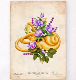 Gleichgewichtsorgan - Floral - Vintage | Codex Anatomicus Sale