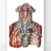 Halsarterien und Lymphsystem | Codex Anatomicus Sale