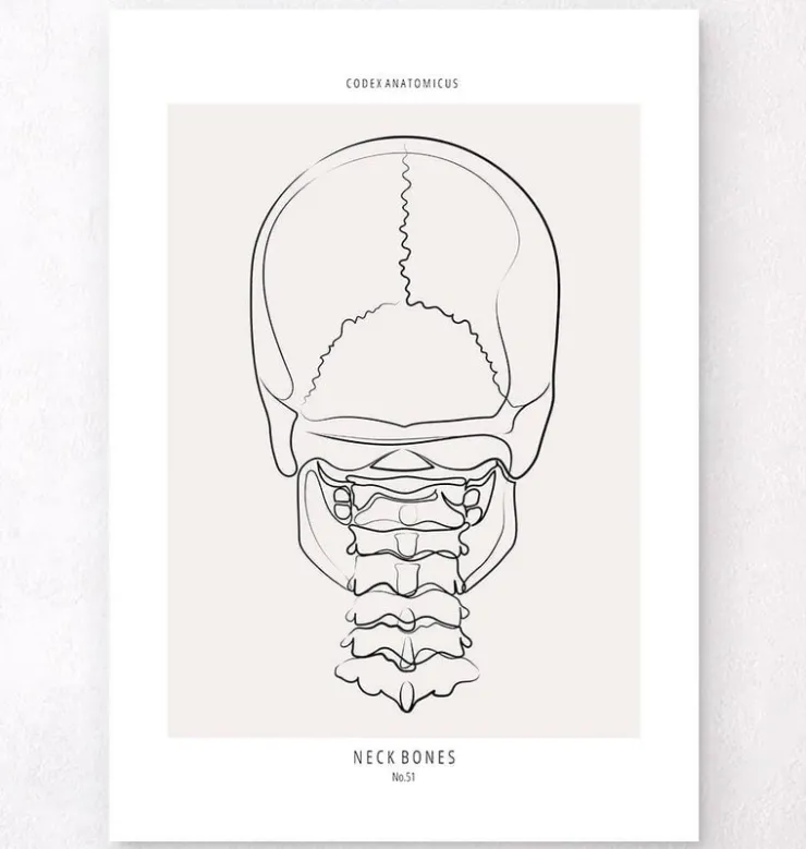 Halsknochen - Line-Art | Codex Anatomicus Fashion