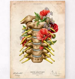 Halsnerven - Floral - Vintage | Codex Anatomicus New