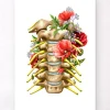 Halsnerven - Floral - Weiß | Codex Anatomicus Sale