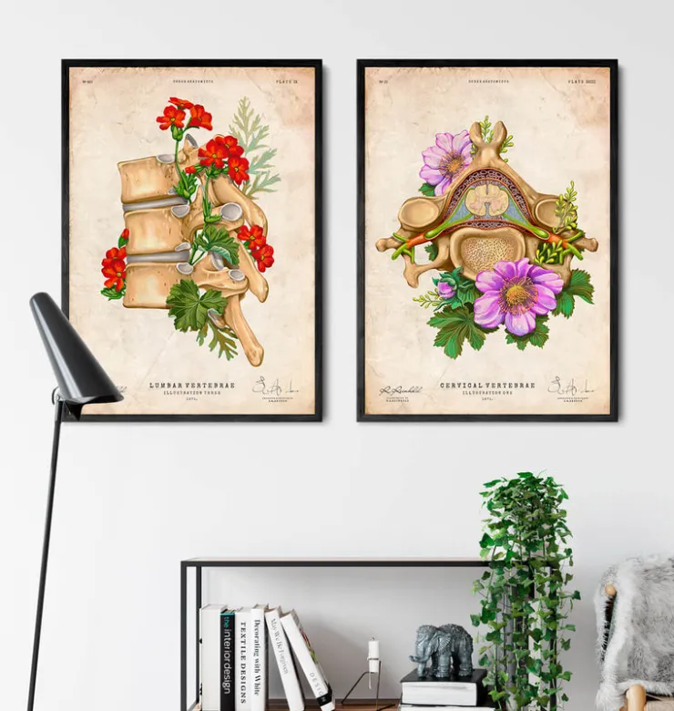 Halswirbel Anatomie - Floral - Vintage | Codex Anatomicus Hot