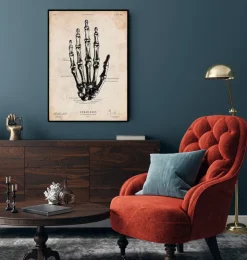 Hand Anatomie | Codex Anatomicus New