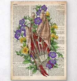 Hand anatomie - Altes Wörterbuch | Codex Anatomicus Fashion