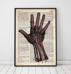 Hand Anatomie - Altes Wörterbuch | Codex Anatomicus Clearance
