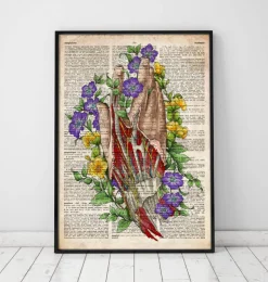 Hand anatomie - Altes Wörterbuch | Codex Anatomicus Fashion