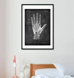 Hand Anatomie - Chalkboard | Codex Anatomicus New