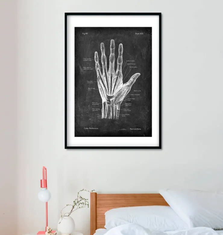 Hand Anatomie - Chalkboard | Codex Anatomicus New