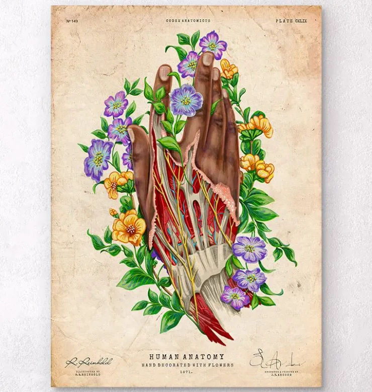 Hand Anatomie - Dunkle Haut | Codex Anatomicus Outlet