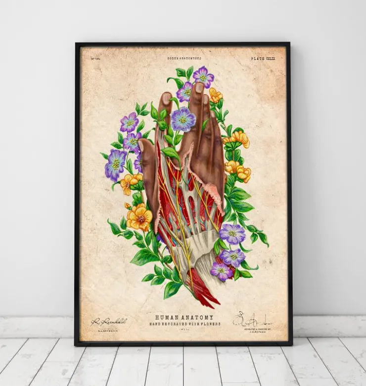 Hand Anatomie - Dunkle Haut | Codex Anatomicus Outlet