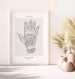 Hand Anatomie - Line-Art | Codex Anatomicus Online