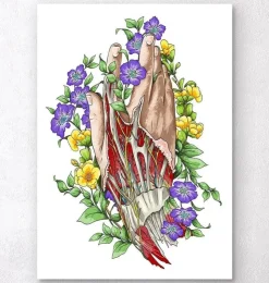Hand anatomie - Weiß | Codex Anatomicus Sale