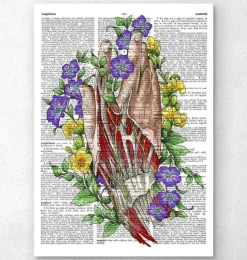 Hand Anatomie - Wörterbuch | Codex Anatomicus Discount