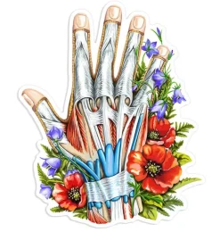 Hand Anatomie Aufkleber - Floral | Codex Anatomicus Clearance