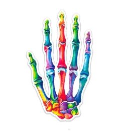Hand Anatomie Aufkleber - Aquarell | Codex Anatomicus Clearance