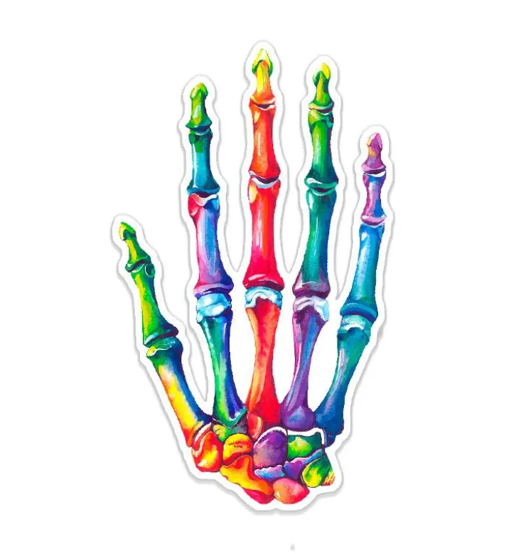 Hand Anatomie Aufkleber - Aquarell | Codex Anatomicus Clearance