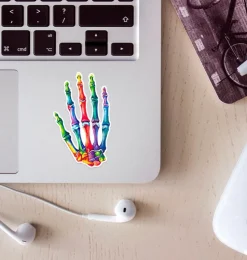 Hand Anatomie Aufkleber - Aquarell | Codex Anatomicus Clearance