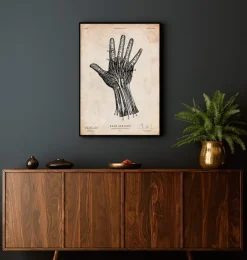 Hand Anatomie IV | Codex Anatomicus Clearance