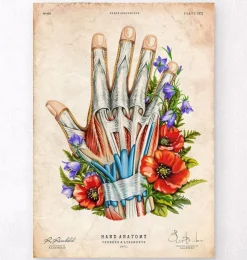Hand Anatomie Kunst - Schwarz | Codex Anatomicus New