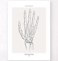 Handskelett - Line-Art | Codex Anatomicus Fashion