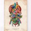 Harnsystem - Floral - Vintage | Codex Anatomicus New
