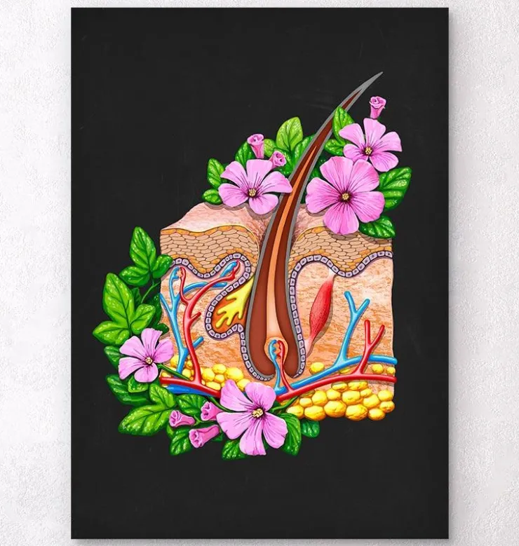 Hautanatomie - Floral - Schwarz | Codex Anatomicus New
