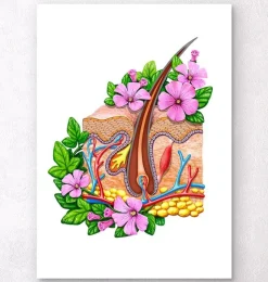Hautanatomie - Floral - Weiß | Codex Anatomicus New
