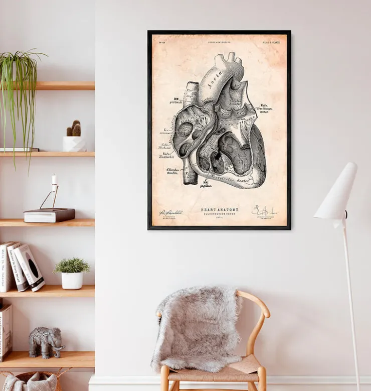 Herz Abschnitt Kunstdruck I | Codex Anatomicus Clearance