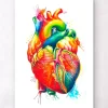 Herz Anatomie - Aquarell | Codex Anatomicus Online