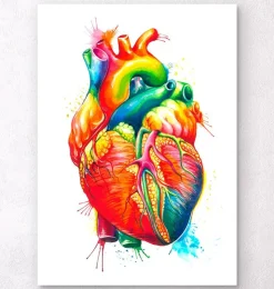 Herz Anatomie - Aquarell | Codex Anatomicus Online