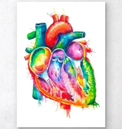Herz Anatomie - Aquarell | Codex Anatomicus Clearance