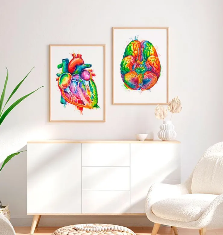 Herz Anatomie - Aquarell | Codex Anatomicus Clearance