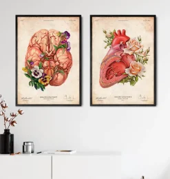 Herz Anatomie - Floral - Altes Papier | Codex Anatomicus New