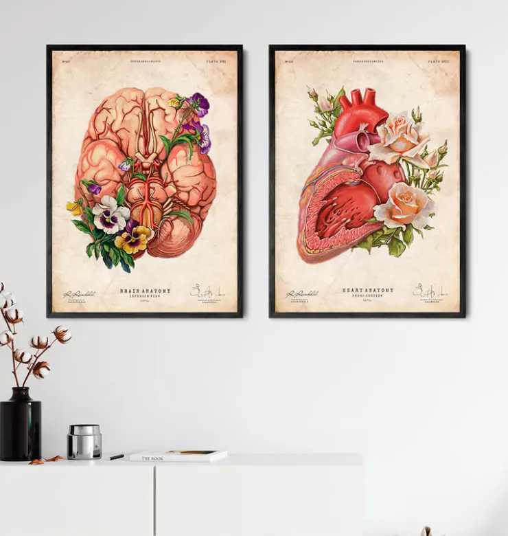 Herz Anatomie - Floral - Altes Papier | Codex Anatomicus New